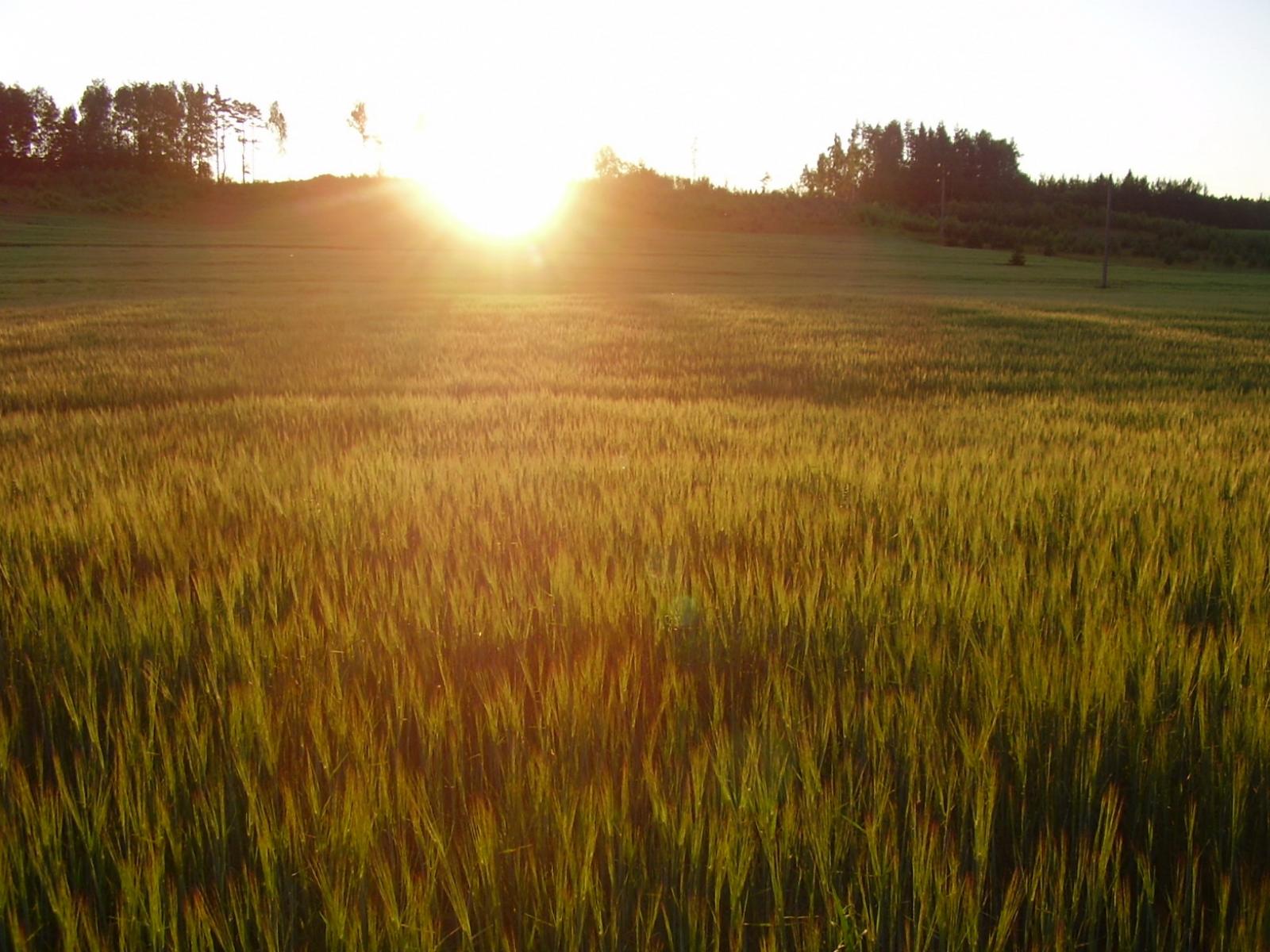 Как фотографировать яркие фотографии — иллюстрация 69
